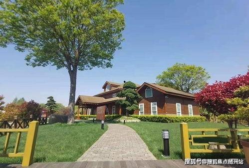 大同同城爆料最新消息查询,揭秘城市热点事件背后的真相